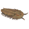 CollectA Prehistoric Marine Creatures - 8 piece set
