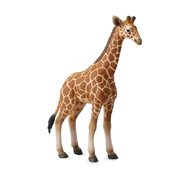 CollectA Reticulated Giraffe Calf
