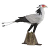 CollectA Secretary Bird
