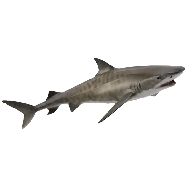 CollectA Tiger Shark