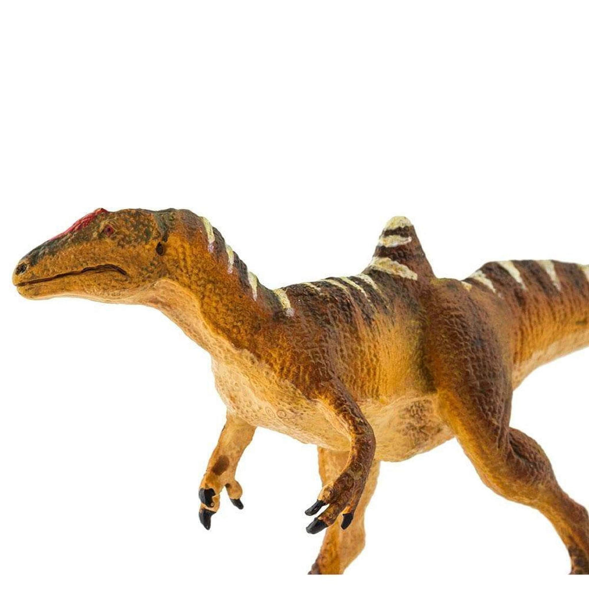 Safari Ltd Concavenator-SAF100355-Animal Kingdoms Toy Store