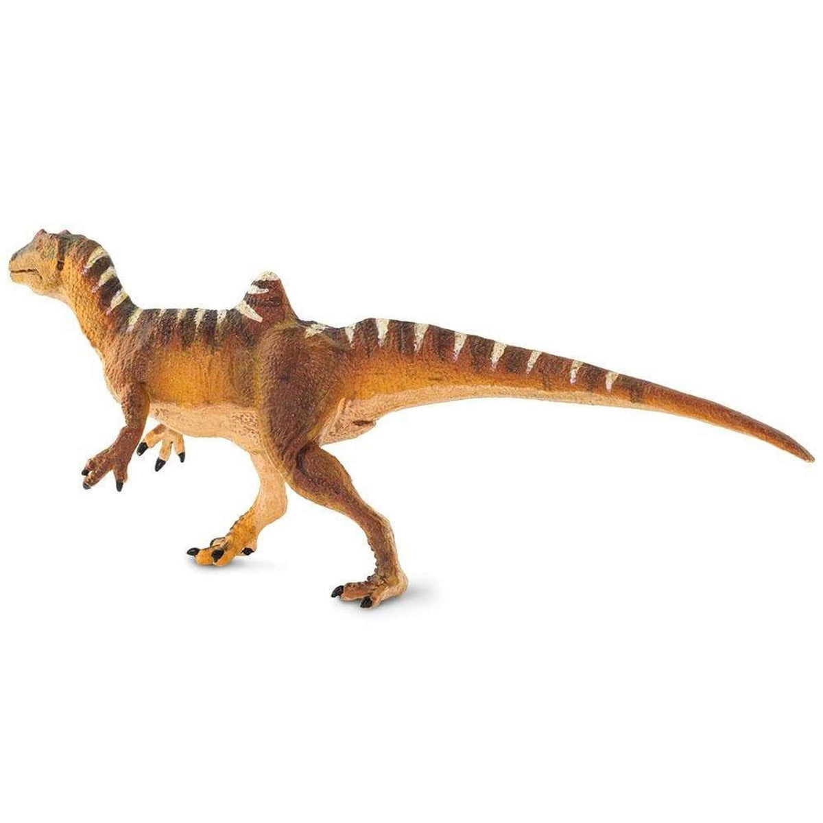 Safari Ltd Concavenator-SAF100355-Animal Kingdoms Toy Store