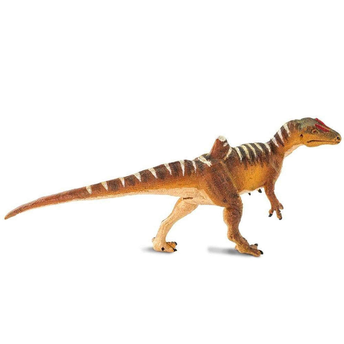 Safari Ltd Concavenator-SAF100355-Animal Kingdoms Toy Store