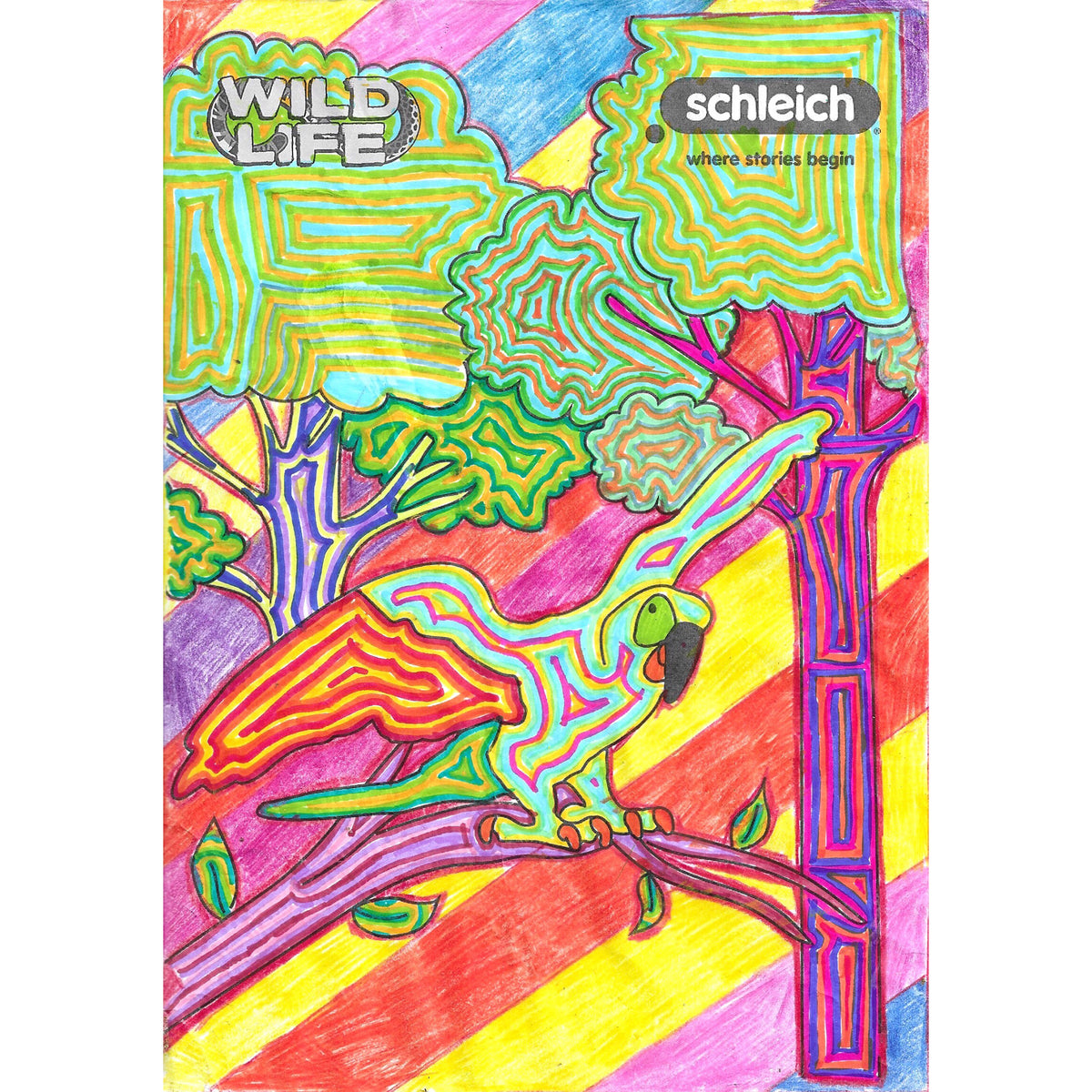 Colouring Competition 2022