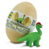Safari Ltd Four Dino Baby Egg-SAF90075-Animal Kingdoms Toy Store
