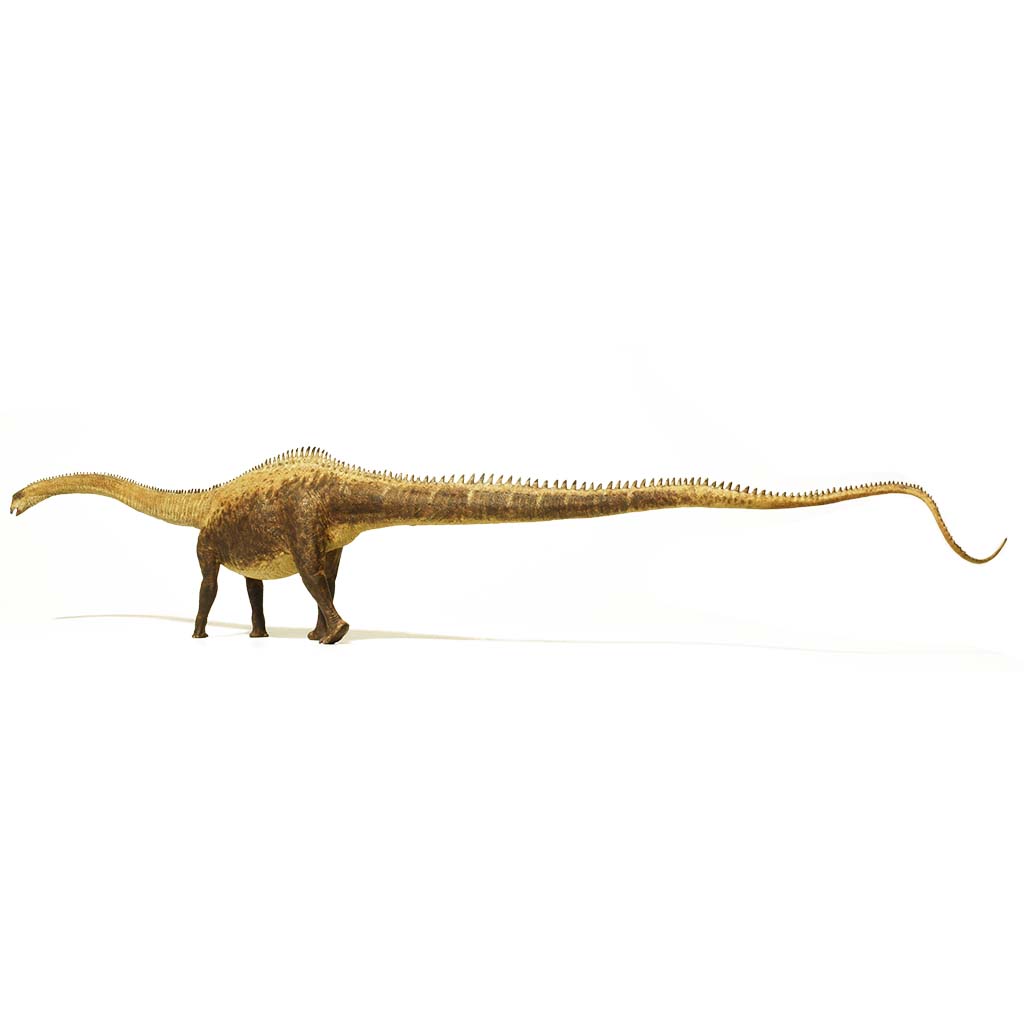 Eofauna Diplodocus-007-Animal Kingdoms Toy Store