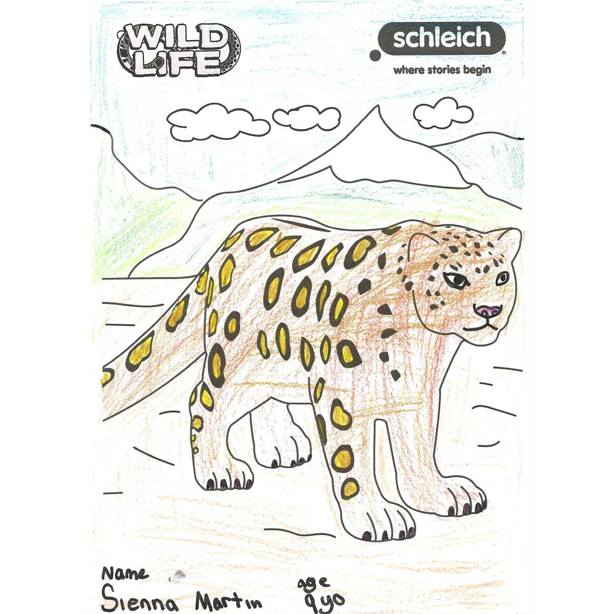 Colouring Competition 2022