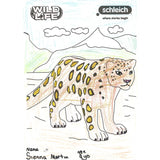 Colouring Competition 2022