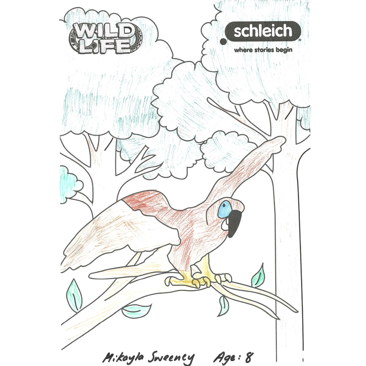 Colouring Competition 2022