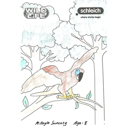 Colouring Competition 2022