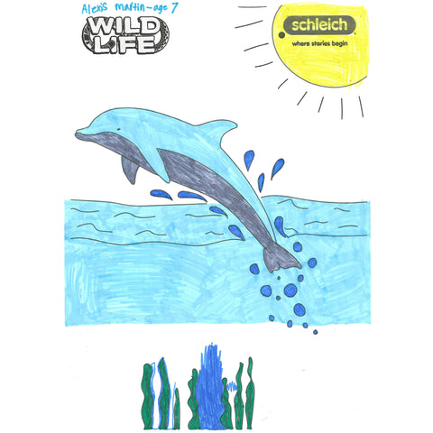 Colouring Competition 2022