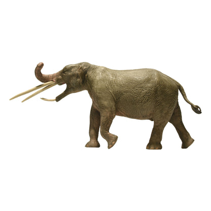 Eofauna Konobelodon Atticus