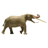 Eofauna Konobelodon Atticus