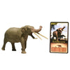 Eofauna Konobelodon Atticus