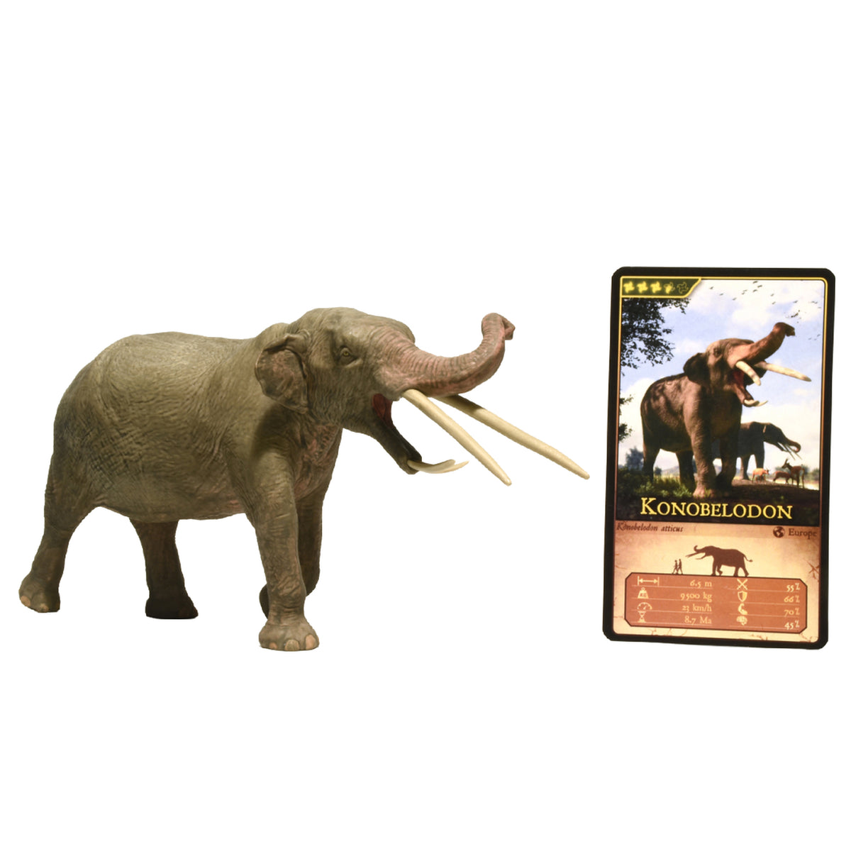 Eofauna Konobelodon Atticus
