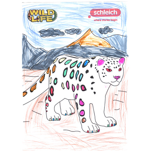 Colouring Competition 2022