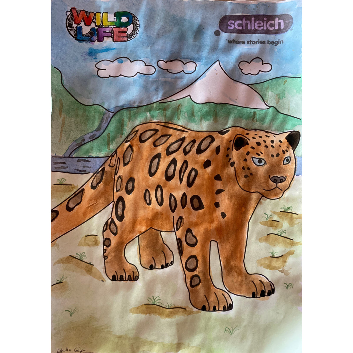 Colouring Competition 2022