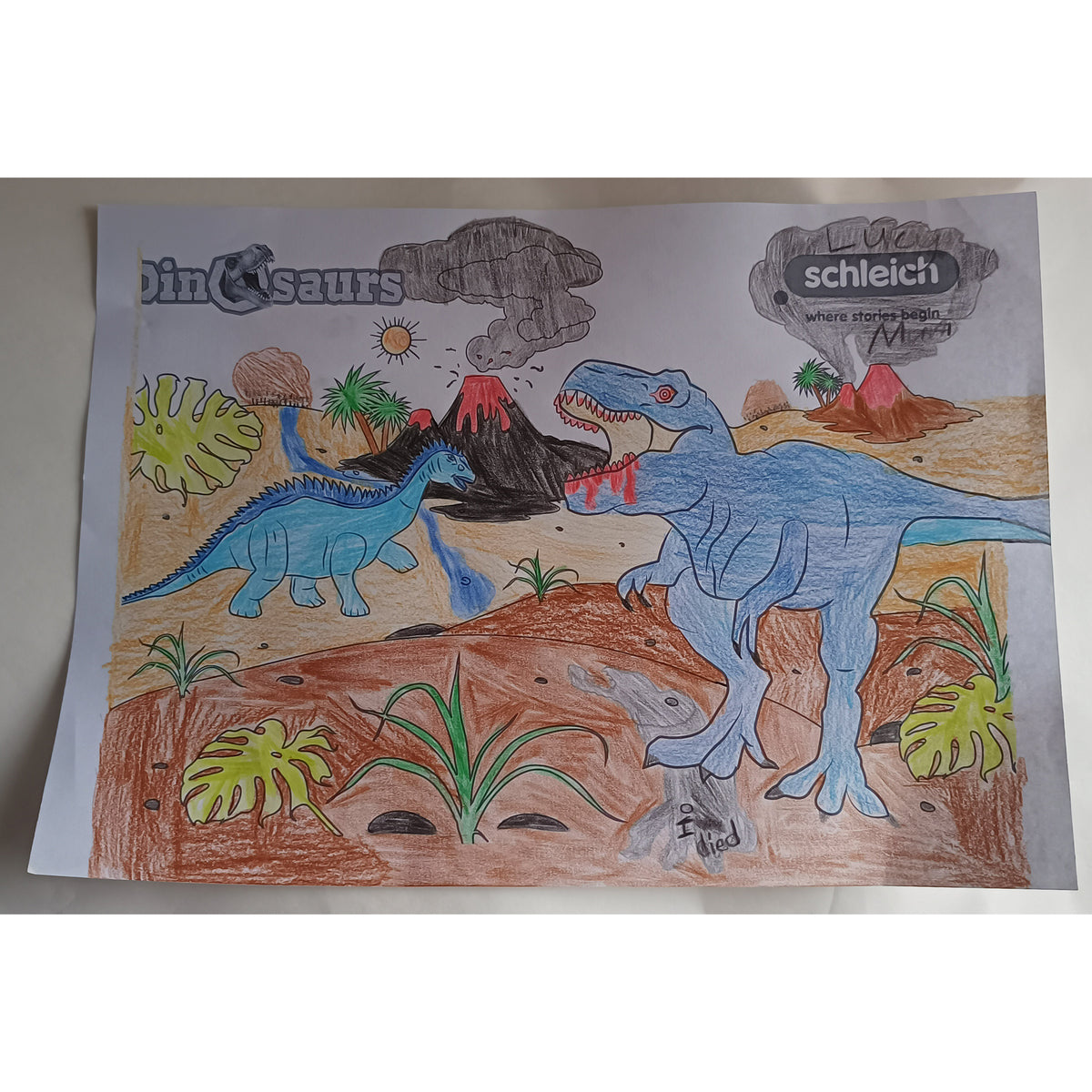 Colouring Competition 2022