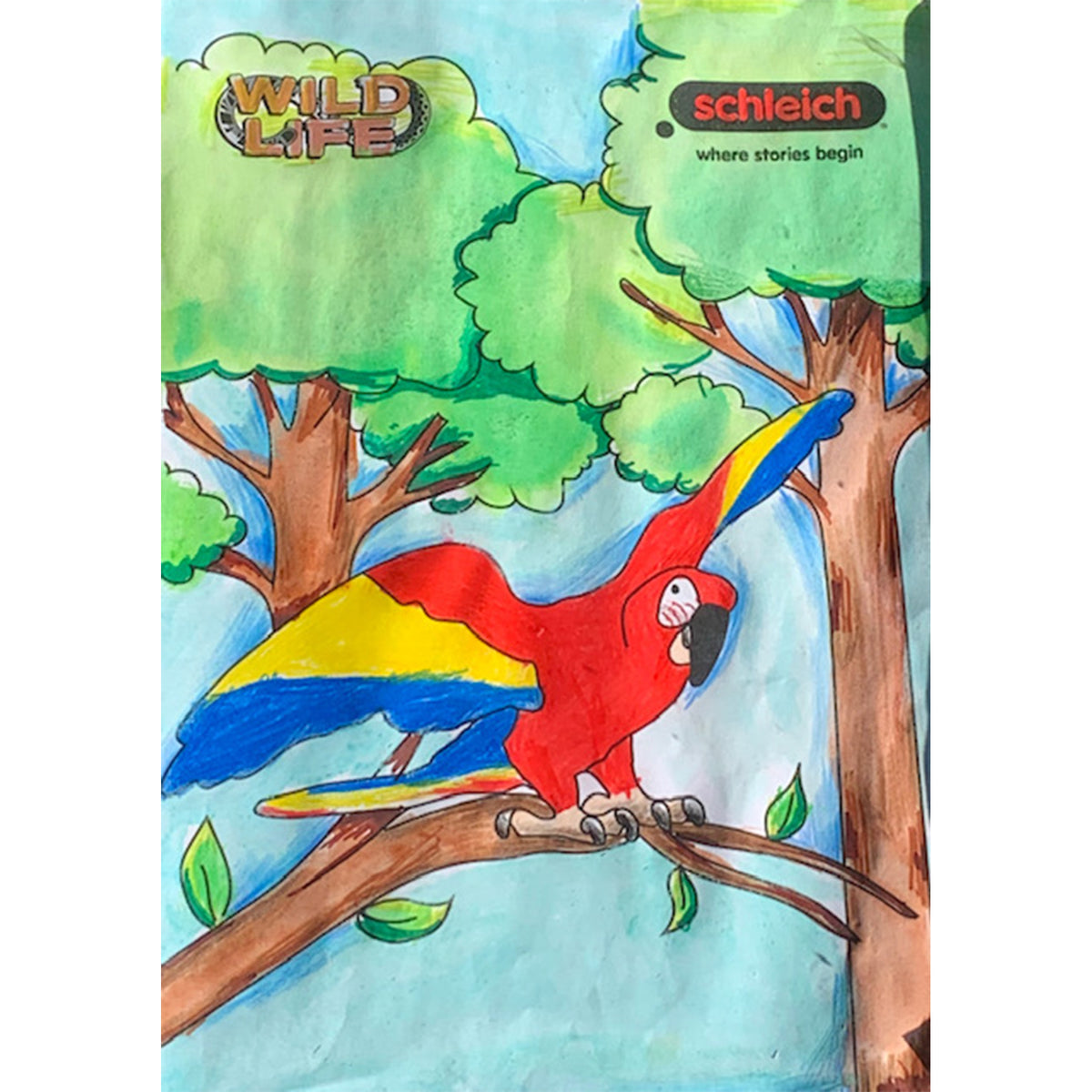 Colouring Competition 2022