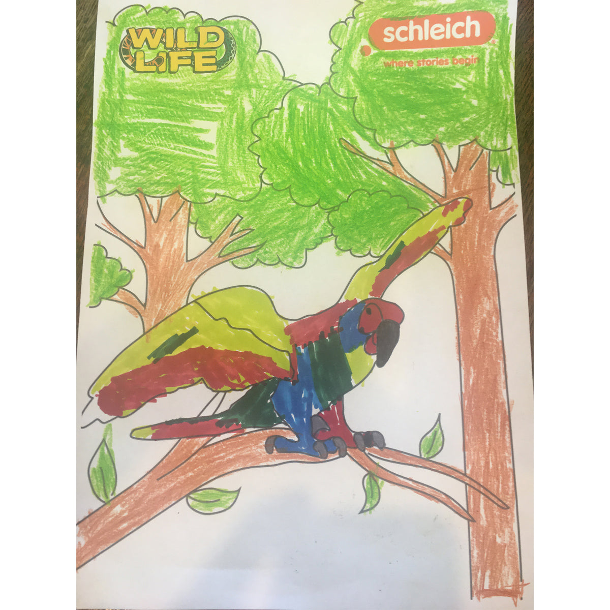 Colouring Competition 2022