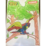 Colouring Competition 2022