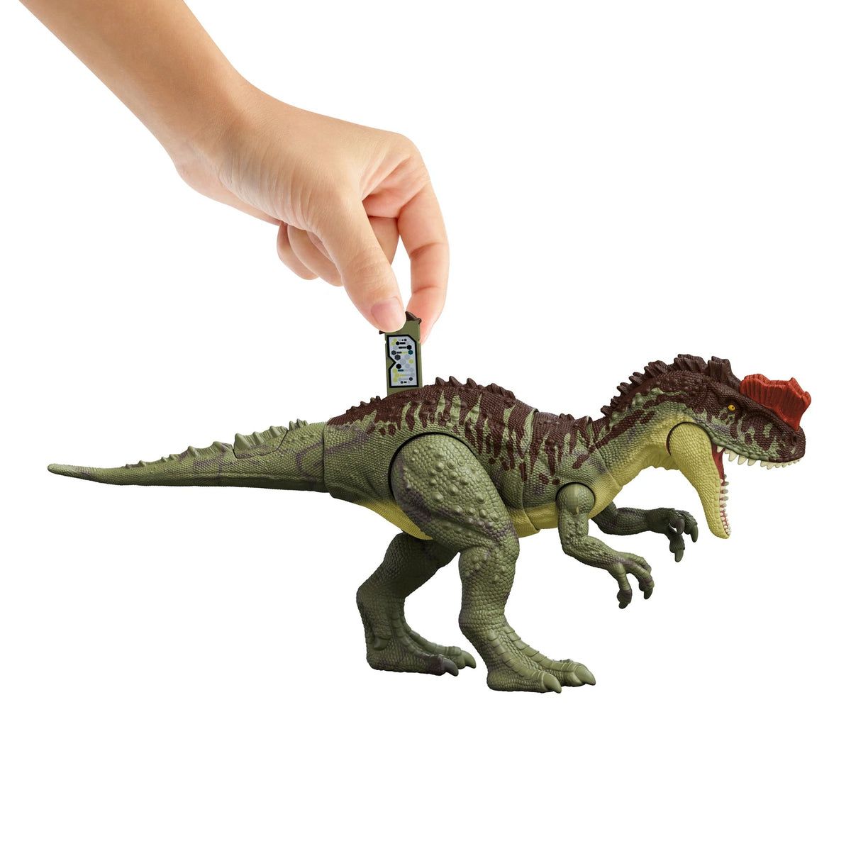 Jurassic World Yangchuanosaurus - Damaged Box