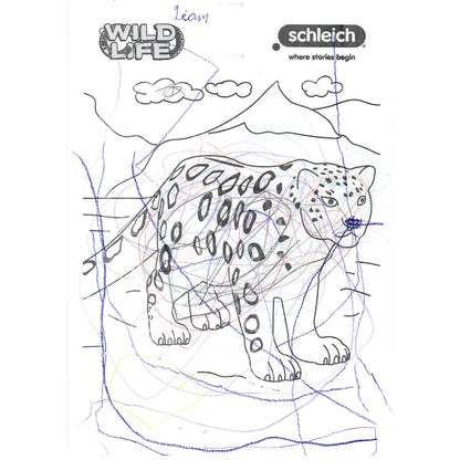 Colouring Competition 2022