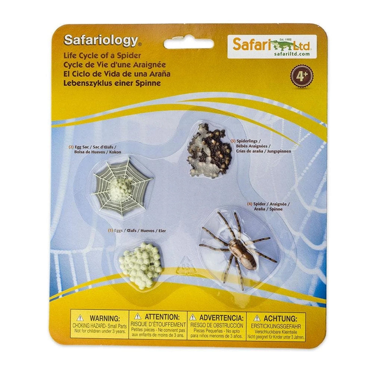 Safari Ltd Life Cycle of a Spider-SAF100406-Animal Kingdoms Toy Store