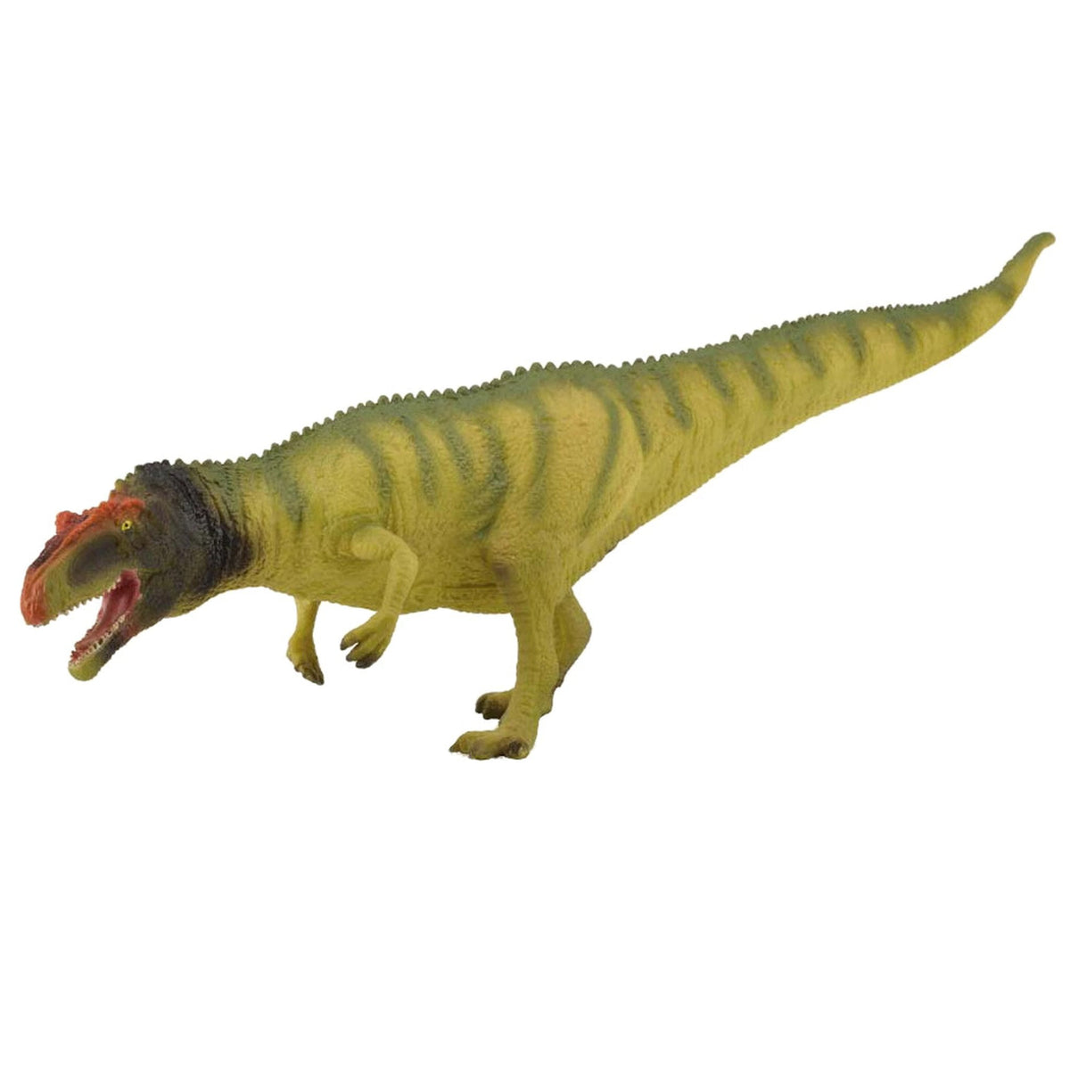 CollectA Mapusaurus – Animal Kingdoms Toy Store