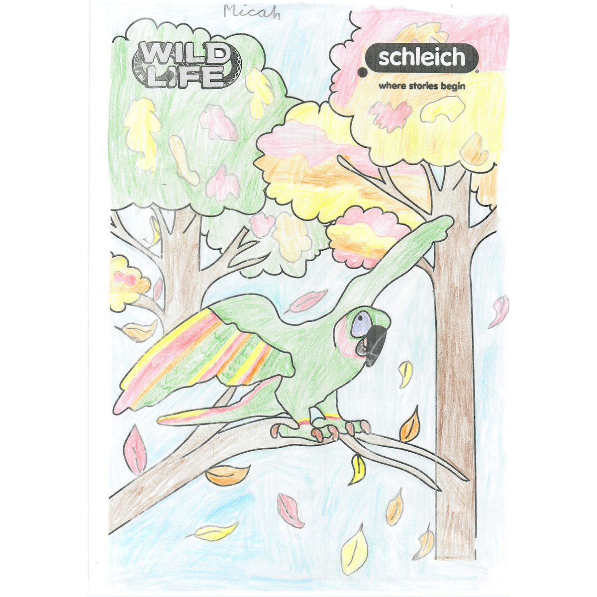 Colouring Competition 2022