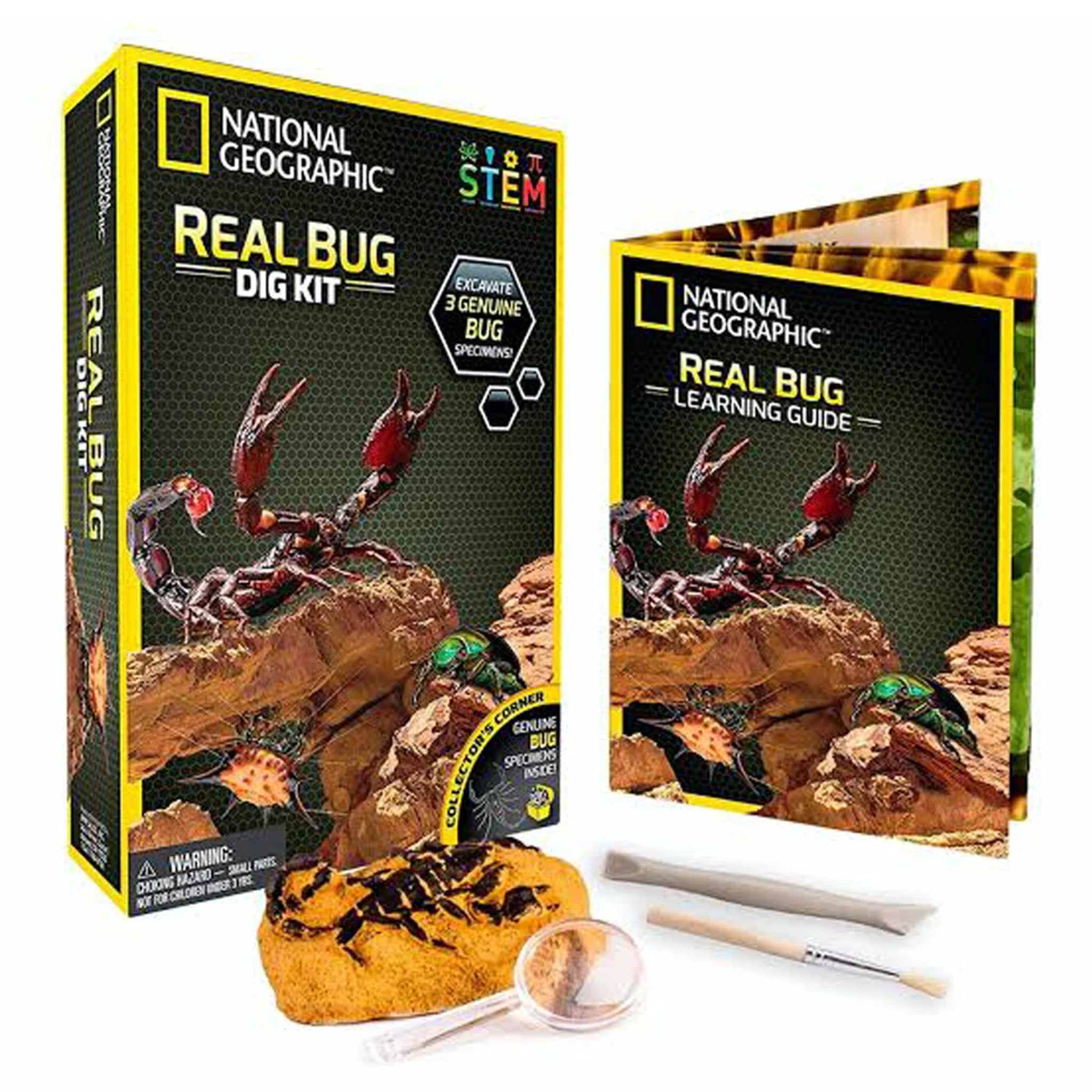 National Geographic - Real Bug Dig Kit – Animal Kingdoms Toy Store