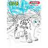 Colouring Competition 2022