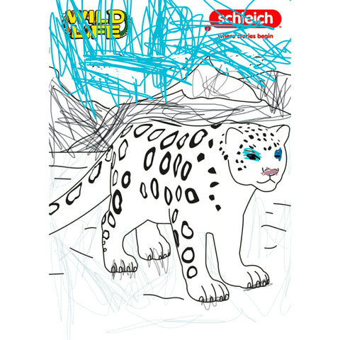 Colouring Competition 2022
