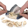 National Geographic - Shark Dig Kit-NGSHARK-Animal Kingdoms Toy Store