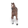 Papo Anglo-Arabian Mare