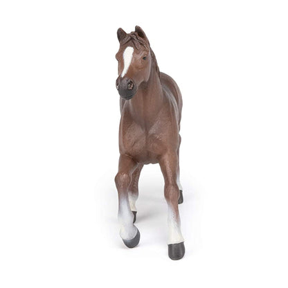 Papo Anglo-Arabian Mare