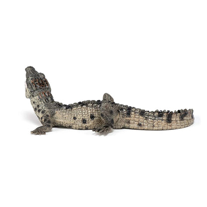 Papo Baby Crocodile