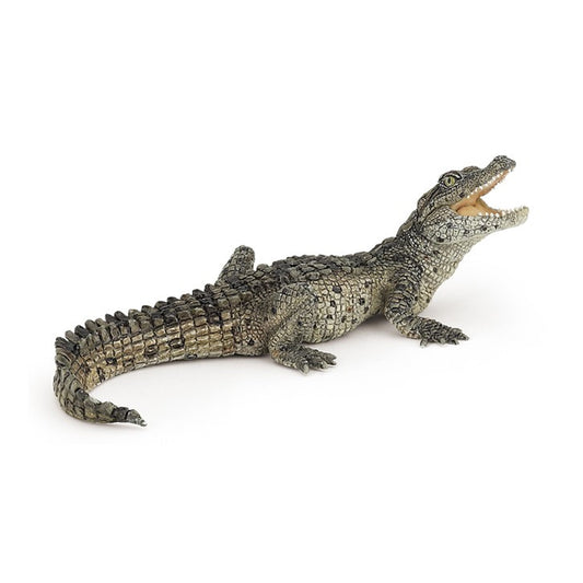 Papo Baby Crocodile