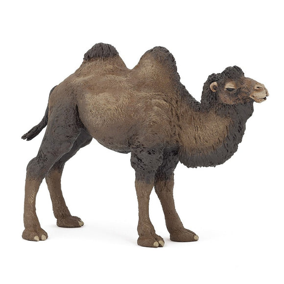 Papo Bactrian Camel-50129-Animal Kingdoms Toy Store