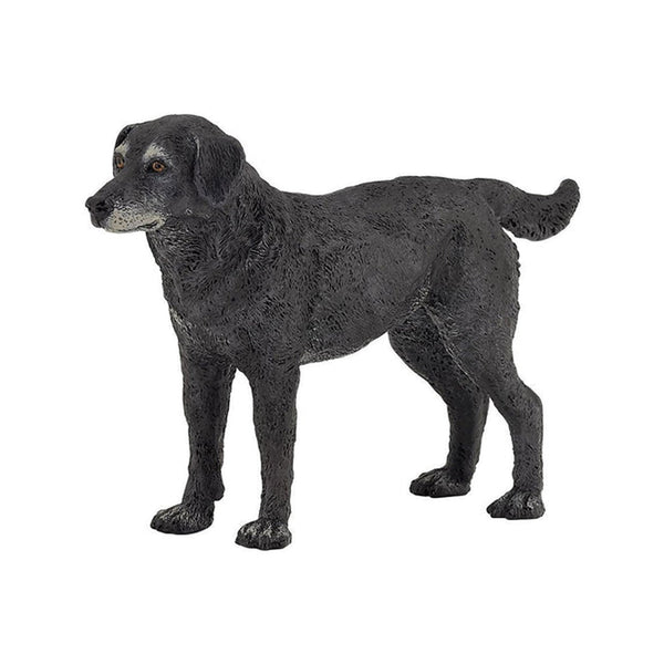 Papo Cassis Lapdog