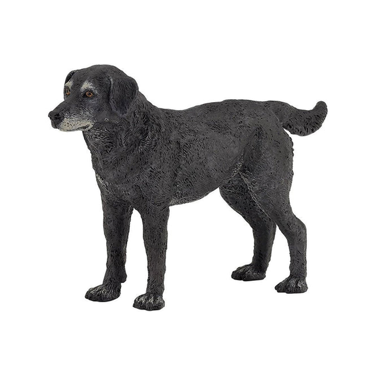 Papo Cassis Lapdog