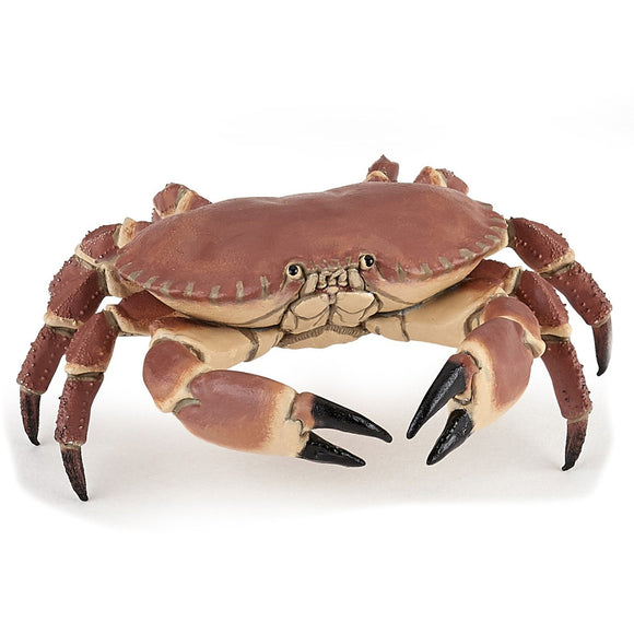 Papo Dungenese Crab-56047-Animal Kingdoms Toy Store