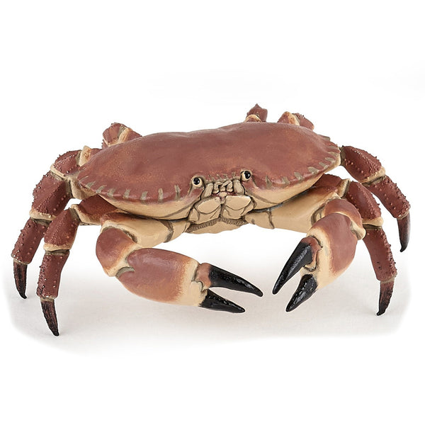 Papo Dungenese Crab-56047-Animal Kingdoms Toy Store
