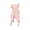 Papo Female Piglet