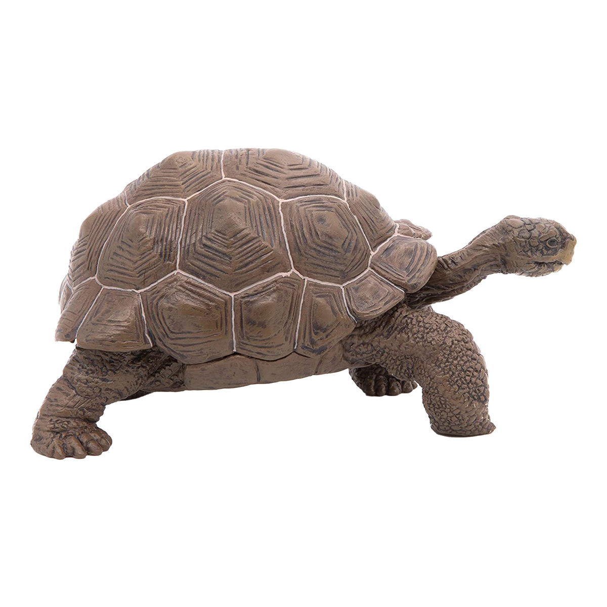 Papo Galapagos Tortoise – Animal Kingdoms Toy Store