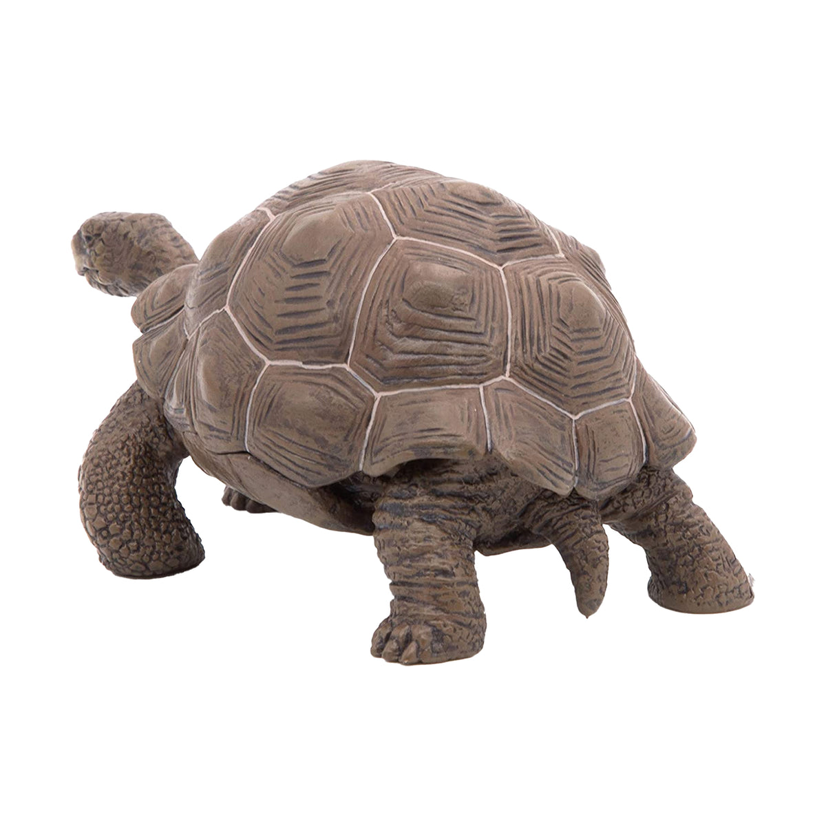 Papo Galapagos Tortoise – Animal Kingdoms Toy Store