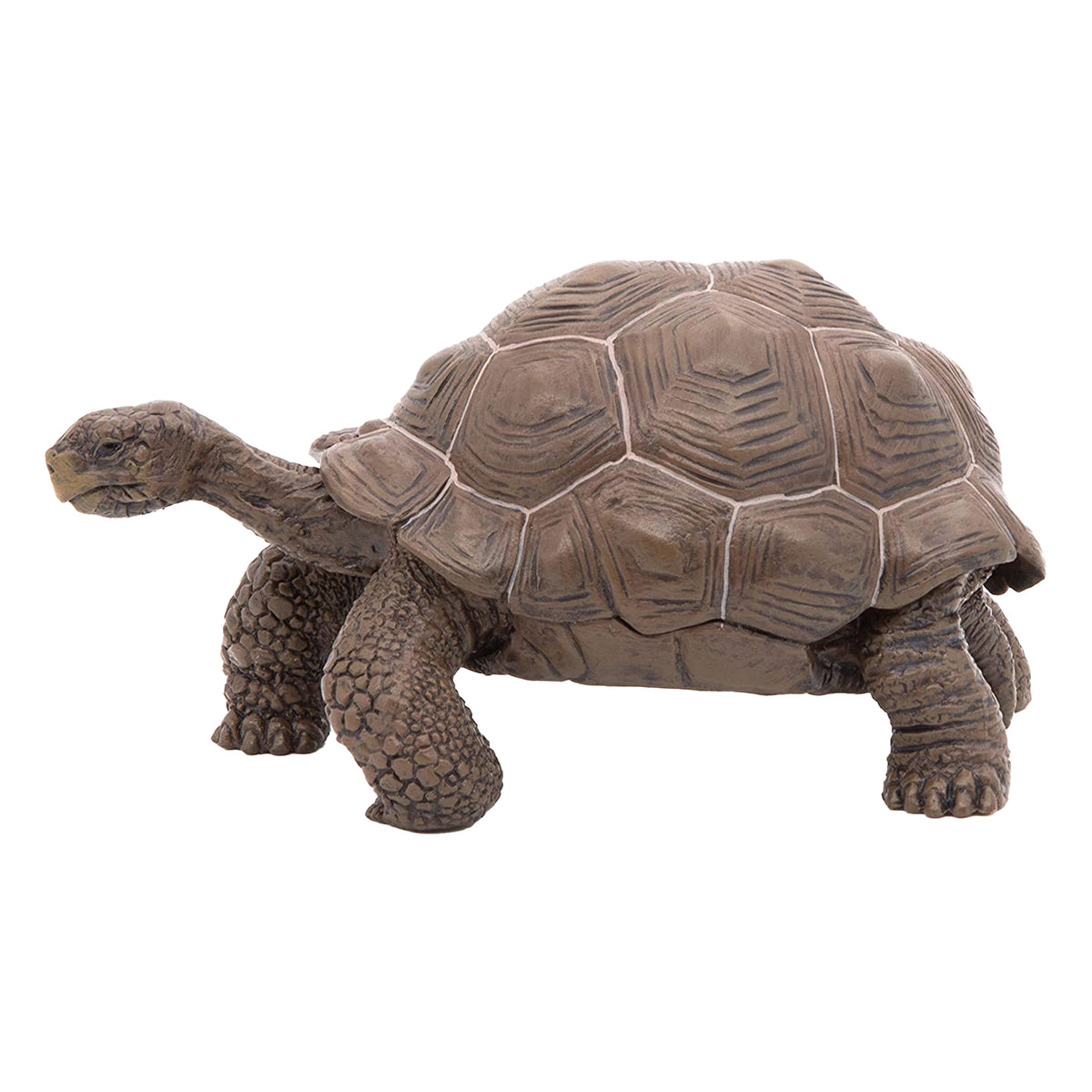 Papo Galapagos Tortoise