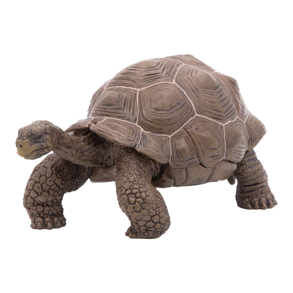 Papo Galapagos Tortoise – Animal Kingdoms Toy Store