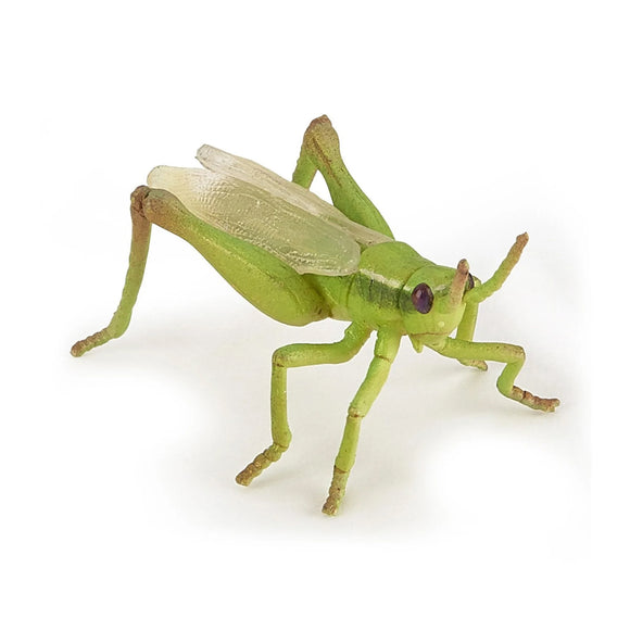 Papo Grasshopper