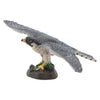 Papo Hawk